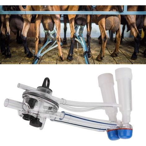 Unità di mungitura trasparente – capra / pecora / mucca – plastica per uso alimentare – carrello mobile – mungitrice