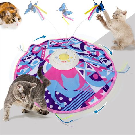 3-in-1 Cat Play Circuit for Kittens