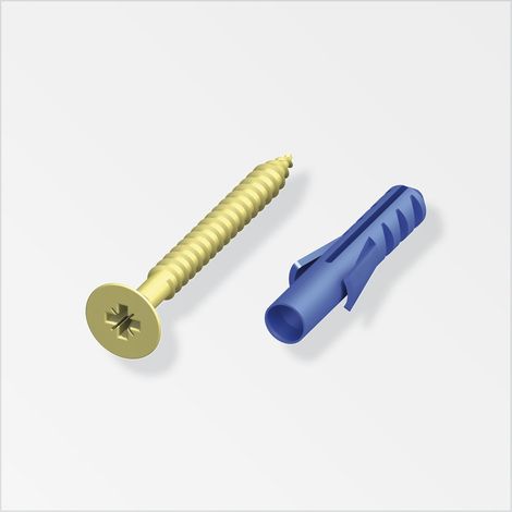 viti 3x30 ottonato e tasselli  10 pz  ss