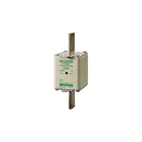 fusible cartouche à couteaux - nh2 - courbe am - 250a - avec indicateur - 500v - mersen k232516