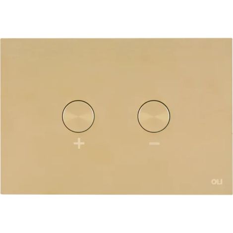 Oli  Bouton de chasse d'eau Blink - Or clair - Acier inoxydable - Design moderne et élégant
