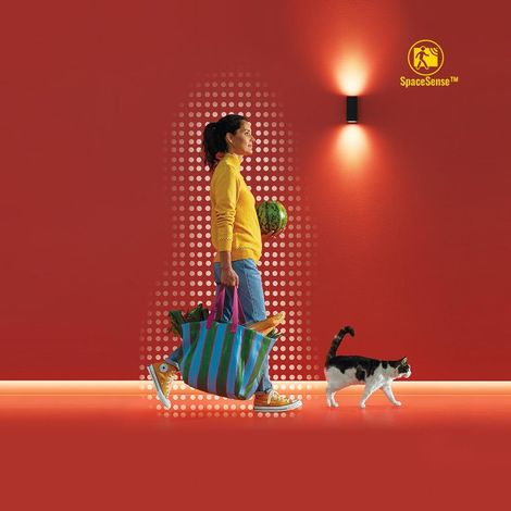 Ruban LED Neon Flex, 16 millions de couleurs et nuances de blanc, Bande LED 3 m, Scènes de lumières dynamiques, Connexion WI-FI, Contrôle par la Voix, App (1/5)