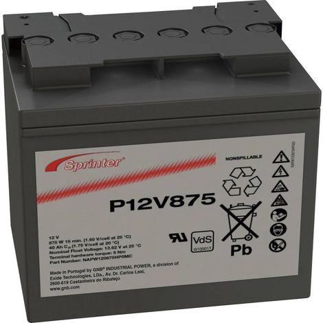 Batterie au plomb 12 V 41 Ah GNB Sprinter P12V875 plomb (AGM) (l x H x P) 200 x 176 x 169 mm raccord à vis M6 sans entretien, certification VdS X94406 (1/4)