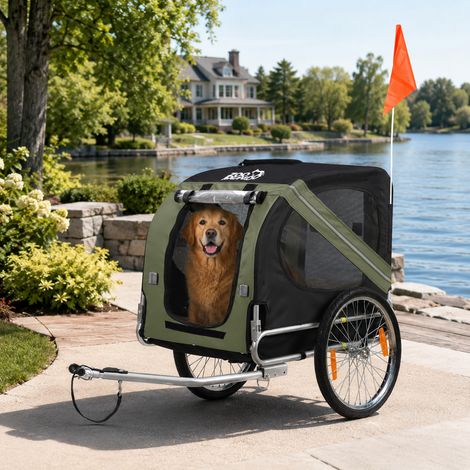 zoomundo Remorque velo pour Chien - en Matcha vert/Noir - Silver Frame (1/5)
