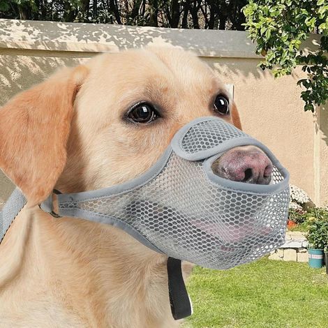 Museruola per cani - Morbida rete lavabile anti-morso regolabile, protezione per la bocca anti-abbaio per l'addestramento del cane, morbida rete per adulti, amanti degli animali, famiglie e animali do (1/4)