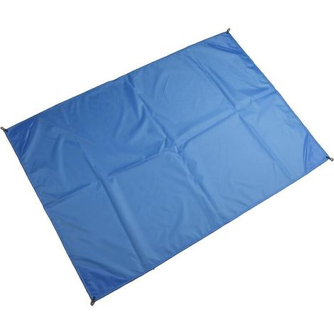 Tapis de plage 200 x 210 cm pour pique-niques, camping et activités de plein air (1/5)