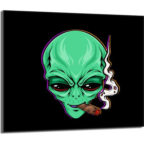 Piastra protettiva in vetro per stufa 60x52 UFO (1/5)