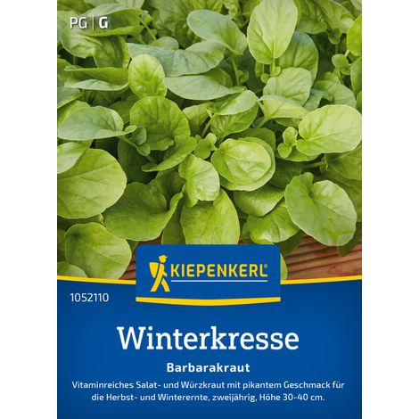 Kiepenkerl Saatgut Winterkresse Barbarakraut für ca. 500 Pflanzen (1/2)