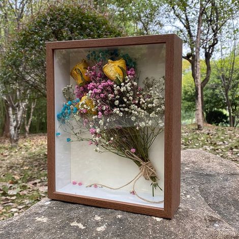 Cadre Bois Naturel - Boîte À Ombres Transparente - 22 x 17 x 4,5 cm - Pour Plantes Séchées Et Spécimens - 1 Pièce (1/5)