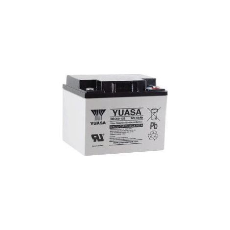 Batterie Plomb 12V 50Ah Yuasa (197X165X175) M5 (REC50-12I)