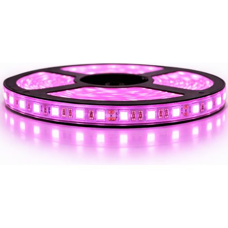 Kit de cinta profesional 5050 - 60 leds/m - 5 metros rosa anti-salpicaduras (IP65)  Longitud: 5 metros - Transformador: Fuente de alimentación incluida