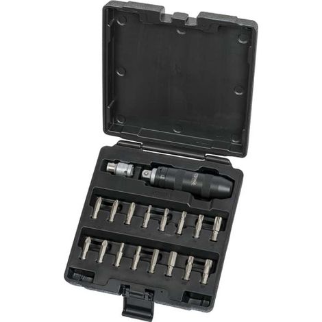 Set di cacciaviti con punte KS TOOLS - 18 pezzi - 515.2000