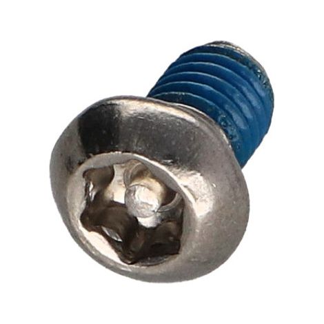 Vis métaux Inox A2 Inviolable Tête bombée TORX T30 avec téton M6X10+ Frein filet-500 pièces
