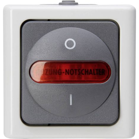Interrupteur Kopp 562356009 gris 78 mm 10 ampères (1/2)