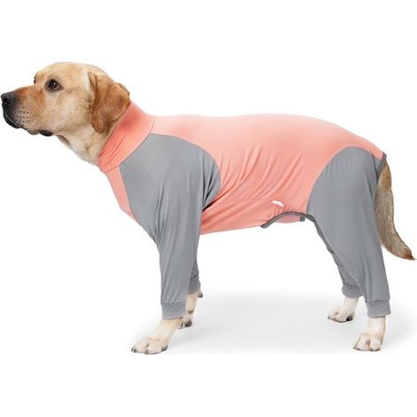 Vêtements de convalescence post-opératoire pour chiens, pyjamas de protection des plaies pour éviter le léchage, combinaison à manches longues pour chiens de taille moyenne à grande, Kle (1/5)