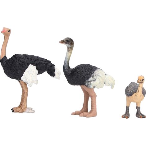 Figurine Autruche Peinte à la Main - Artisanat Détaillé, Prise Ergonomique, Modèle Animal Décoratif (1/5)