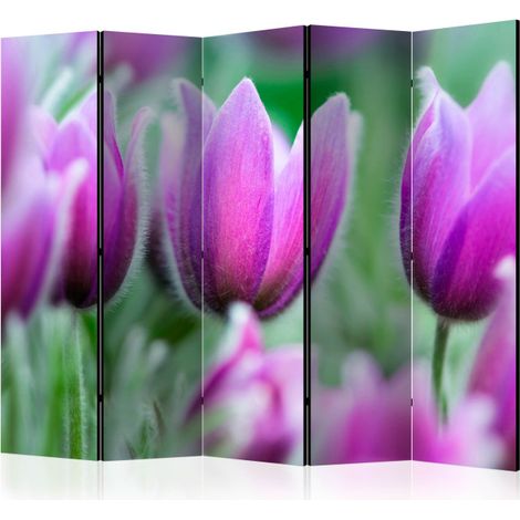 Paravent 5 Volets "Purple Spring Tulips" 172x225cm (1/2)