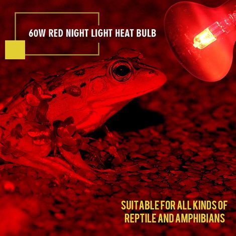 60W Infrarot-Wärmelampe mit roter Glasbirne für Echsen, Reptilien und Amphibien (1/5)