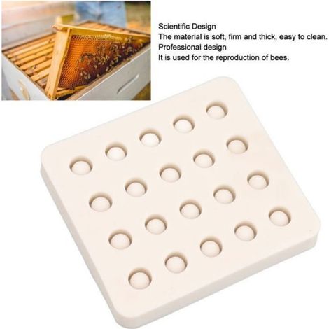 Moule Elevage Reines Abeilles - Silicone Flexible - 20 Tasses - Apiculture - 105 x 97 x 16 mm (1/4)