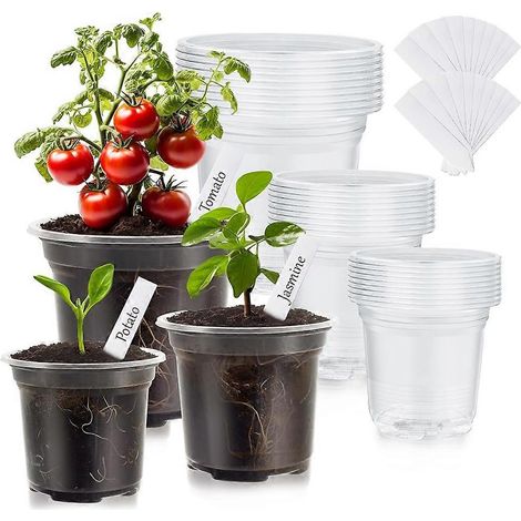 30 Packs transparent Nursery pots pour plantes 3 5 4 5 pouces transparent plastique Seedling pots avec Drainage Holes et (1/5)