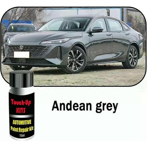 Kit de retouche peinture automobile personnalisé (2 pièces) pour Changan Eado, éliminateur de rayures et accessoires d'entretien de la peinture automobile (1/5)