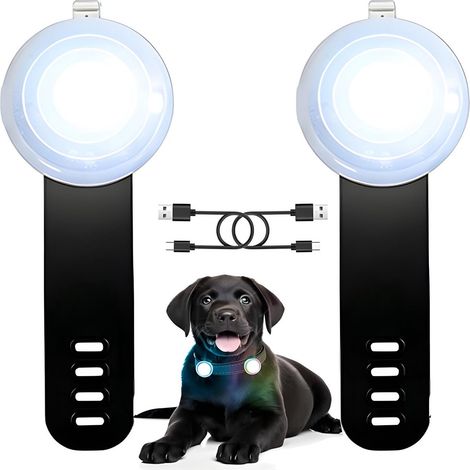 Set di 2 luci LED per cani - Ricaricabili e impermeabili - Luce di sicurezza per cani - Luce LED per animali domestici - Collare luminoso - Collare per cani - Regolabile (1/4)