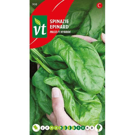 Épinard Palco F1 Hybride - Ca. 14 gr (Livraison Gratuite) (1/2)
