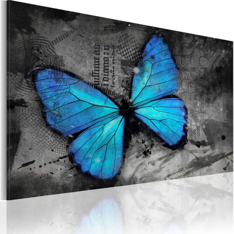 Tableau Imprimé "Etude D'un Papillon" 40 x 60 cm (1/2)