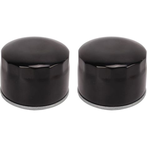 Filtre A Huile - GY20577 - Compatible John Deere LX288 LA130 LA135 STX38 STX46 LT133 LTR155 - 2 Pièces (1/5)