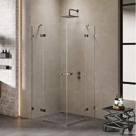 Cabine de douche 80x100cm 2 portes pivotantes,CARAIBES GUNMETAL BRUSHED, inox brossé,acces d'angle (1/5)