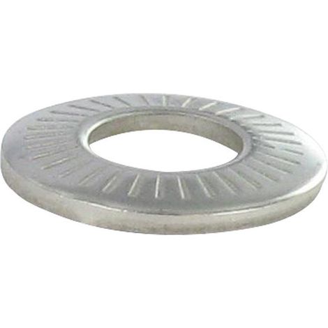 Rondelles contact Inox A4 M6X14X1.3 M-500 pièces