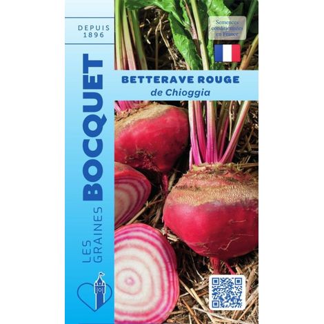 Betterave rouge Chioggia - 6g