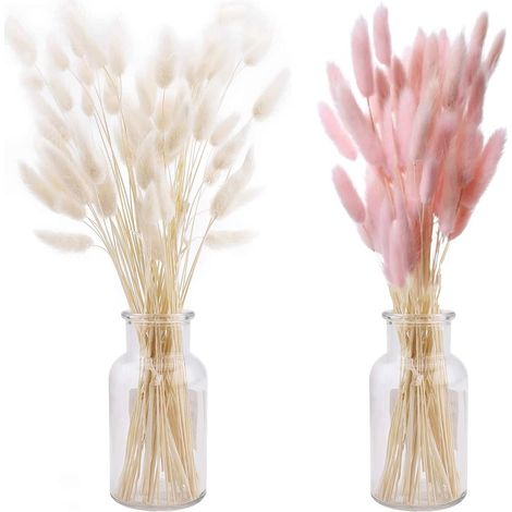 Herbe de Pampa Séchée 50 Pièces Pampa Séchées Naturelle Décoration DIY Herbe De La Pampa Fleurs Séchées Herbe de Queue de Lapin Séchée pour Boheme Fleurs Déco Anniversaire Mariage(Rose+Blanc) (1/5)