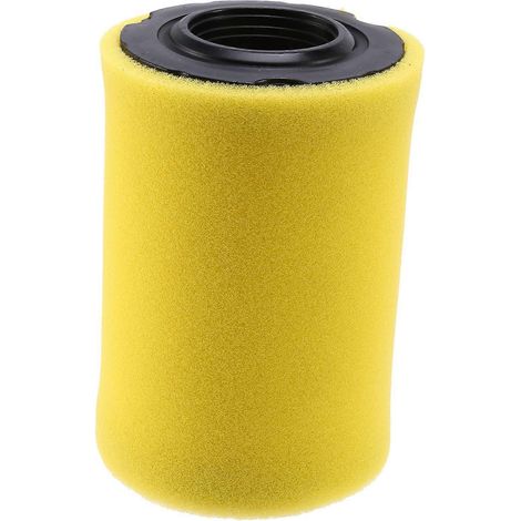 796031 Air Filter For And Stratton With Pre Filter-- (1/5)