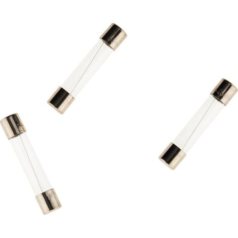 3 Fusibles de vidrio 5 x 20 mm 10 A