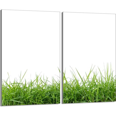 Piastra protettiva in vetro per stufa 2x30x52 Bianco (1/5)