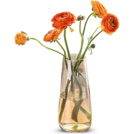 Vase, vase en verre, vase en verre sans plomb, vase en cristal pampas grass, fleurs et fleurs séchées style vase fait à la main, cadeau décoratif pour salon/bureau/table à manger 6.52210cm (amber gold (1/4)