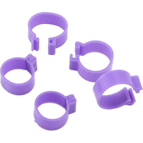 100 anneaux pour pattes de volaille - Bagues de jambe pour canards, poules, oies - Outils d'élevage agricole - Violet 16mm/0.63in (1/5)