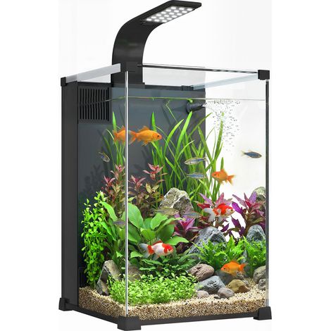 Aquarium - PawHut - 36L, nano aquarium avec filtre intégré, pompe 5W et éclairage LED - verre trempé - 30x30x45cm - noir
