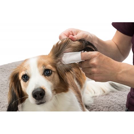 Toallitas húmedas Trixie para el cuidado de los oídos de perros y gatos. (1/5)