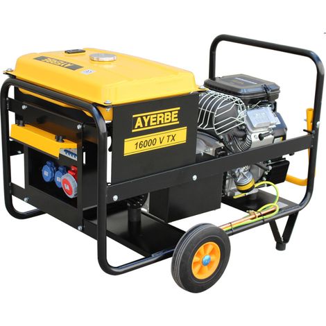 -CAHERSA- Grupo Electrógeno AYERBE AY-16000 TX VANGUARD (1/5)