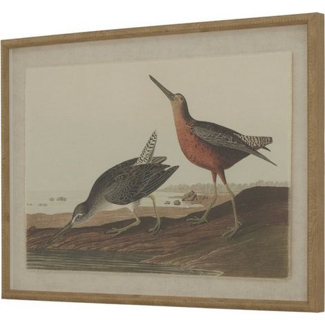 Flora & Fauna Collection Snipes on Linen in Beaded Frame - Glass - L2 x W62 x H45 cm - Brown