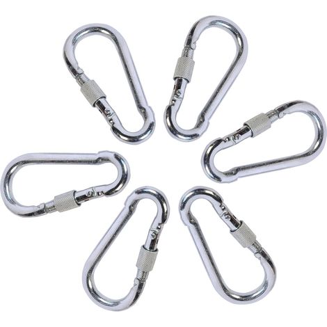 Mousqueton en Acier Inoxydable,6 Pièces 8 cm avec Verrouillage à Vis Capacité de Charge de 200 kg Porte-clés pour Pêche Camping Randonnée Ski Vélo (1/5)