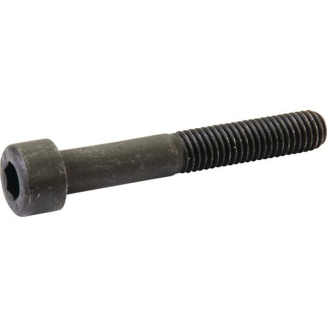 Vite testa a esag. incassato AS-MOTOR E04692ASM