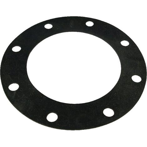 Guarnizione 8" norma DN UNIVERSALE 8339800Z