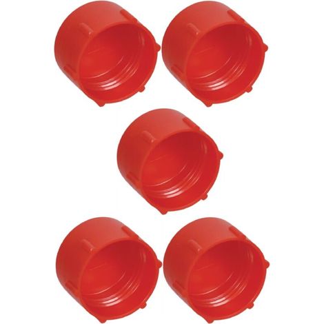 5x Bouchon anti-poussière filetage femelle métrique en plastique Embout Raccord Capuchon Enveloppant Protection Tuyau Hydraulique Tube, M24 x 1,5mm (1/3)