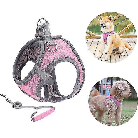 Harnais pour petit chien, harnais pour chiot, ensemble harnais et laisse souples avec collier réfléchissant - XXXS (1/4)
