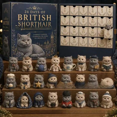 2026 Britisch Kurzhaar-Adventskalender – 3D-Adventskalender für Britisch Kurzhaarkatzen