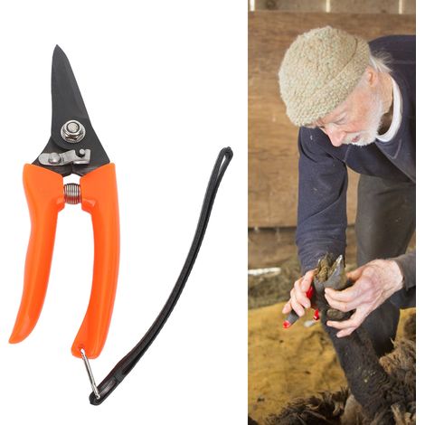 Cisailles à sabots pour moutons, pareurs de sabots pour animaux, outils de parage des sabots, cisailles à ongles pour moutons, grands pareurs de sabots pour moutons, outils de parage des sabots (1/5)