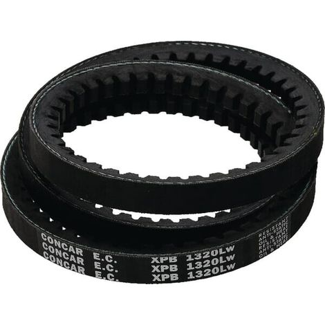 Keilriemen MASCHIO F06010039R (1/3)